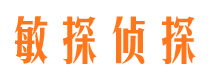 河东侦探公司